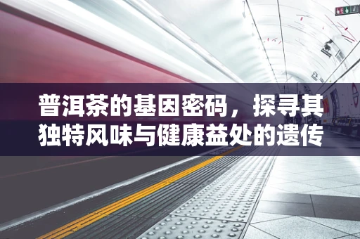 普洱茶的基因密码，探寻其独特风味与健康益处的遗传基础