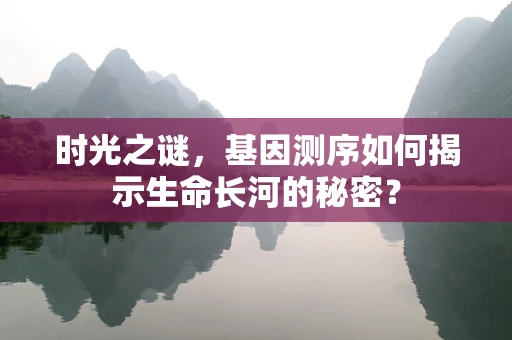 时光之谜，基因测序如何揭示生命长河的秘密？