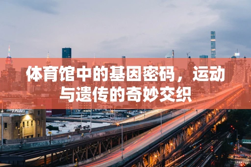 体育馆中的基因密码，运动与遗传的奇妙交织