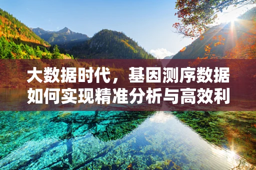 大数据时代，基因测序数据如何实现精准分析与高效利用？