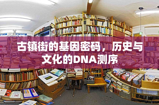 古镇街的基因密码，历史与文化的DNA测序