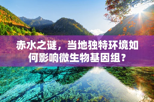 赤水之谜，当地独特环境如何影响微生物基因组？