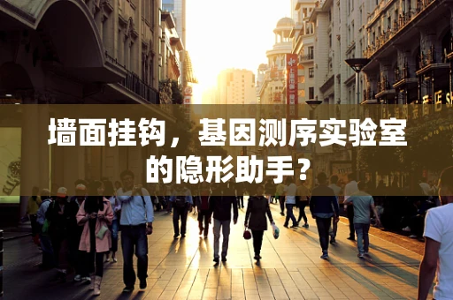 墙面挂钩，基因测序实验室的隐形助手？