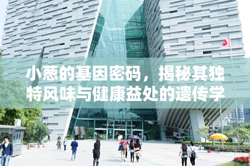 小葱的基因密码，揭秘其独特风味与健康益处的遗传学奥秘