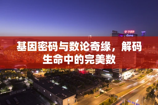 基因密码与数论奇缘，解码生命中的完美数