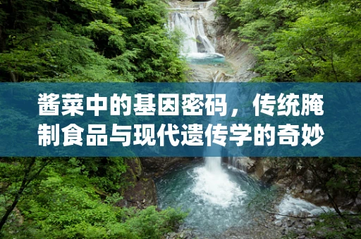 酱菜中的基因密码，传统腌制食品与现代遗传学的奇妙碰撞