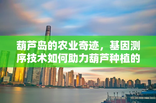 葫芦岛的农业奇迹，基因测序技术如何助力葫芦种植的精准改良？