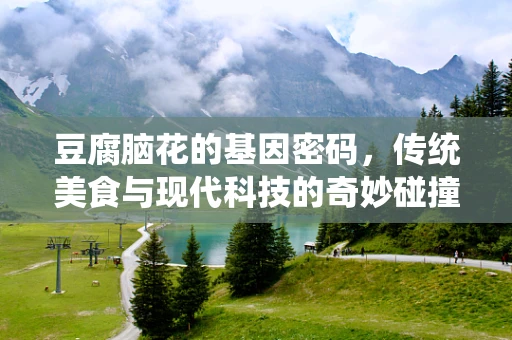 豆腐脑花的基因密码，传统美食与现代科技的奇妙碰撞