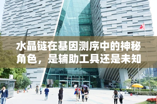 水晶链在基因测序中的神秘角色，是辅助工具还是未知领域的探索？
