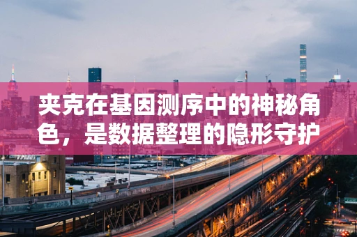 夹克在基因测序中的神秘角色，是数据整理的隐形守护者吗？