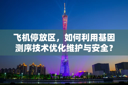 飞机停放区，如何利用基因测序技术优化维护与安全？