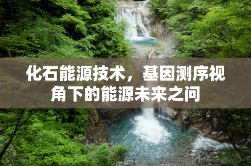 化石能源技术，基因测序视角下的能源未来之问