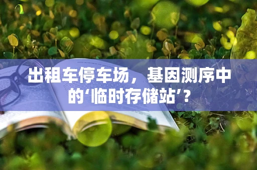 出租车停车场，基因测序中的‘临时存储站’？