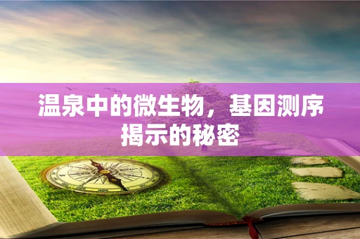 温泉中的微生物，基因测序揭示的秘密