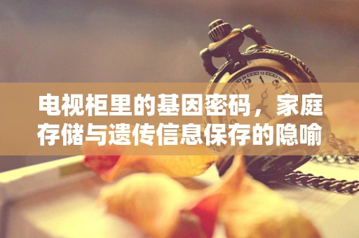 电视柜里的基因密码，家庭存储与遗传信息保存的隐喻