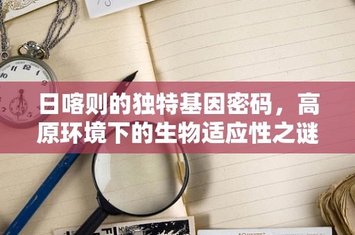 日喀则的独特基因密码，高原环境下的生物适应性之谜
