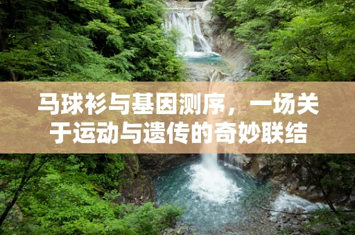 马球衫与基因测序，一场关于运动与遗传的奇妙联结