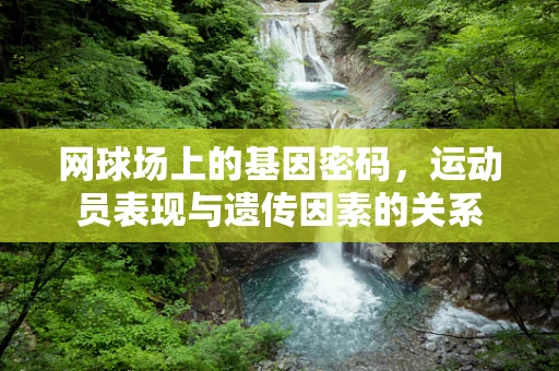 网球场上的基因密码，运动员表现与遗传因素的关系