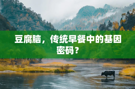 豆腐脑，传统早餐中的基因密码？