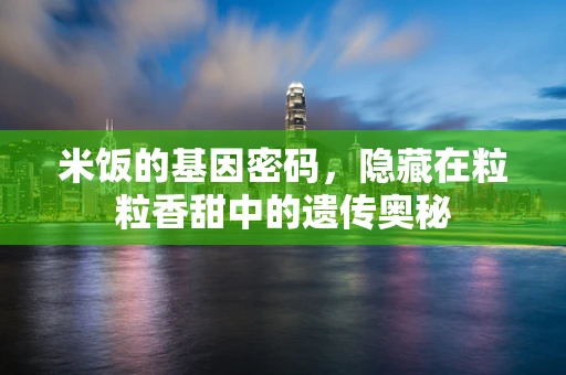 米饭的基因密码，隐藏在粒粒香甜中的遗传奥秘