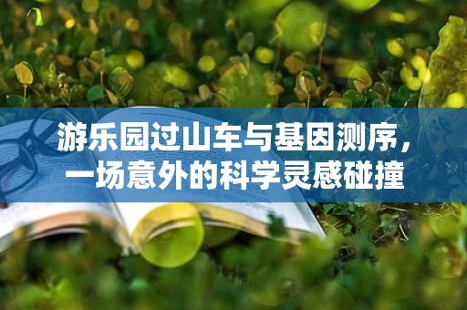 游乐园过山车与基因测序，一场意外的科学灵感碰撞