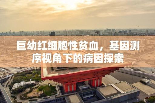 巨幼红细胞性贫血，基因测序视角下的病因探索