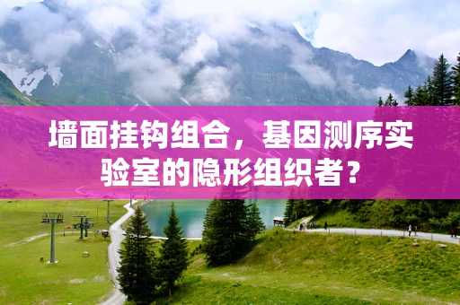 墙面挂钩组合，基因测序实验室的隐形组织者？