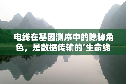 电线在基因测序中的隐秘角色，是数据传输的‘生命线’吗？