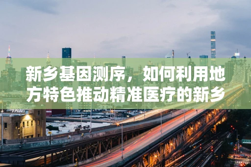 新乡基因测序，如何利用地方特色推动精准医疗的新乡模式？