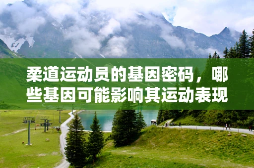 柔道运动员的基因密码，哪些基因可能影响其运动表现与恢复能力？