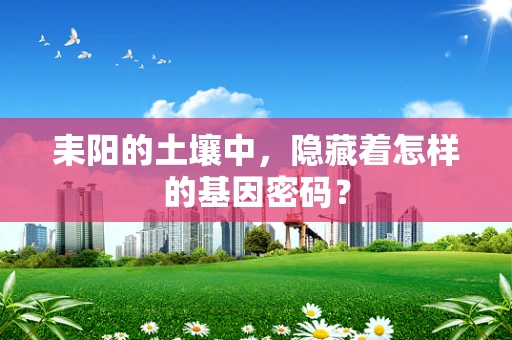 耒阳的土壤中，隐藏着怎样的基因密码？