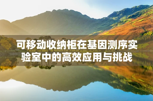 可移动收纳柜在基因测序实验室中的高效应用与挑战