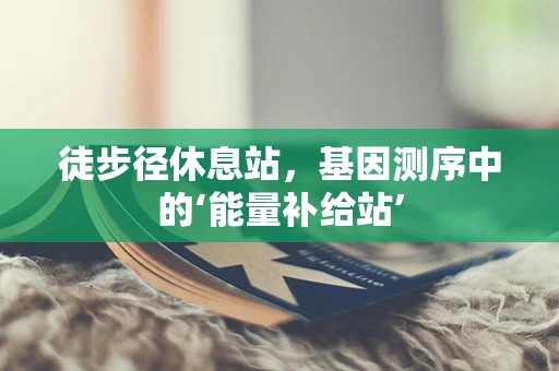 徒步径休息站，基因测序中的‘能量补给站’