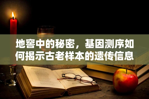 地窖中的秘密，基因测序如何揭示古老样本的遗传信息？