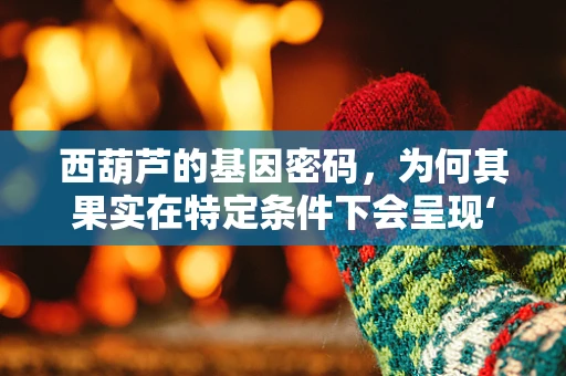 西葫芦的基因密码，为何其果实在特定条件下会呈现‘返祖’现象？