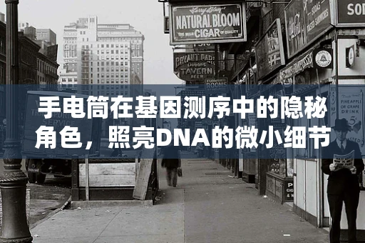 手电筒在基因测序中的隐秘角色，照亮DNA的微小细节