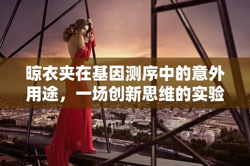 晾衣夹在基因测序中的意外用途，一场创新思维的实验