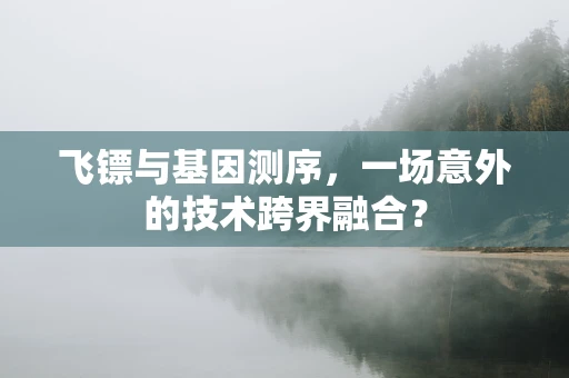 飞镖与基因测序，一场意外的技术跨界融合？