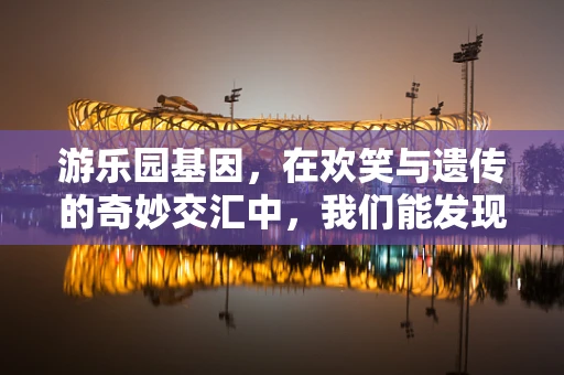 游乐园基因，在欢笑与遗传的奇妙交汇中，我们能发现什么？