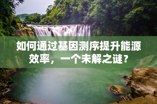 如何通过基因测序提升能源效率，一个未解之谜？