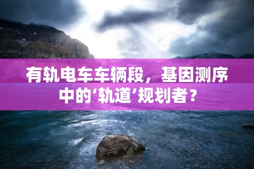 有轨电车车辆段，基因测序中的‘轨道’规划者？