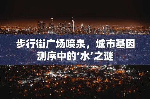 步行街广场喷泉，城市基因测序中的‘水’之谜