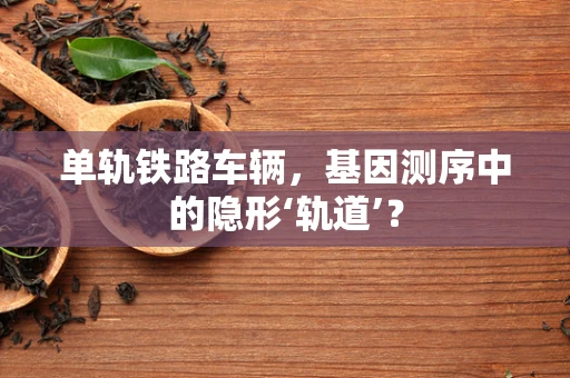 单轨铁路车辆，基因测序中的隐形‘轨道’？