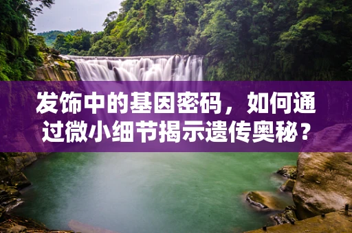 发饰中的基因密码，如何通过微小细节揭示遗传奥秘？