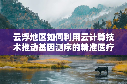 云浮地区如何利用云计算技术推动基因测序的精准医疗发展？