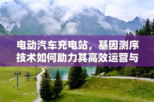电动汽车充电站，基因测序技术如何助力其高效运营与优化？