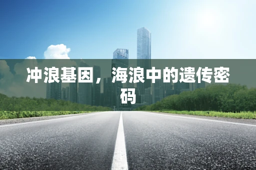 冲浪基因，海浪中的遗传密码