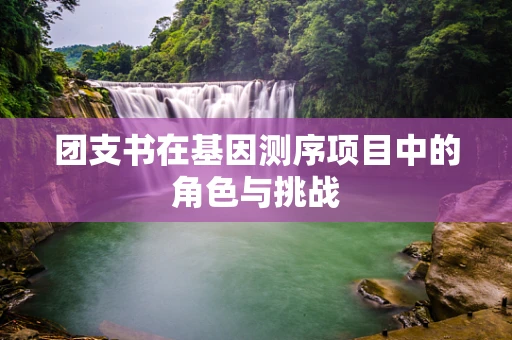 团支书在基因测序项目中的角色与挑战