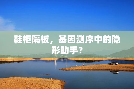 鞋柜隔板，基因测序中的隐形助手？