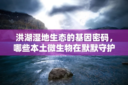 洪湖湿地生态的基因密码，哪些本土微生物在默默守护？